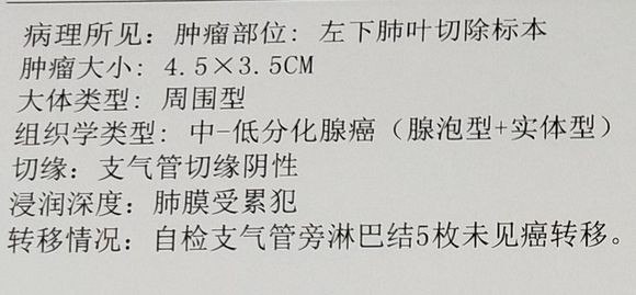 大家帮忙看下，这个属于几期了